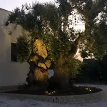 Al Vecchio Ulivo * Fasano