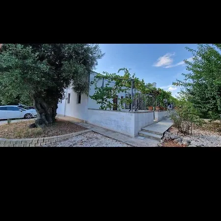 Al Vecchio Ulivo Ferienhaus *