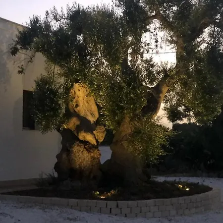 Al Vecchio Ulivo * Φαζάνο