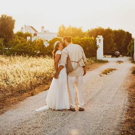 Al Vecchio Ulivo Σπίτι διακοπών