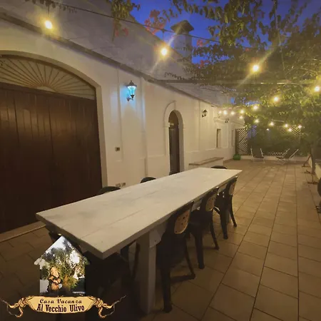 Al Vecchio Ulivo Σπίτι διακοπών *