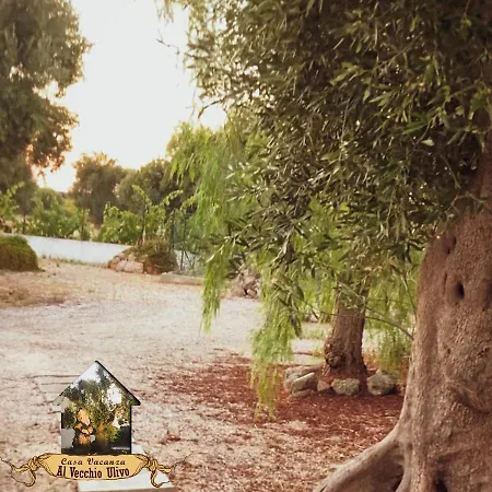 Holiday home Al Vecchio Ulivo