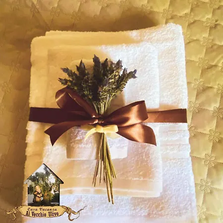 Al Vecchio Ulivo Φαζάνο