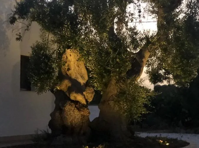 Al Vecchio Ulivo * פאסאנו