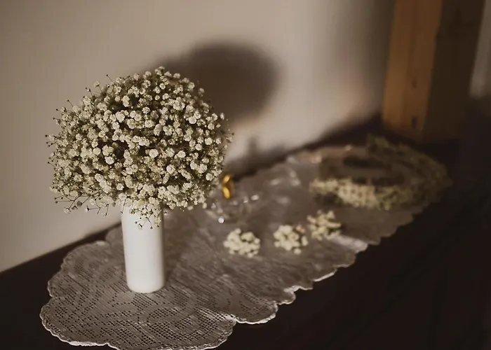 Al Vecchio Ulivo Fasano